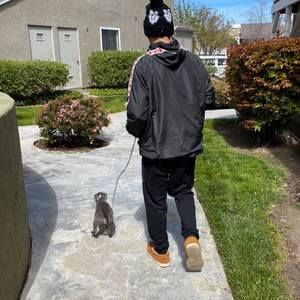 Meet your Posher, Ethan